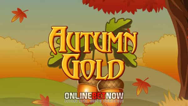 Bonus Slot: Autumn Gold Slot review and verdict