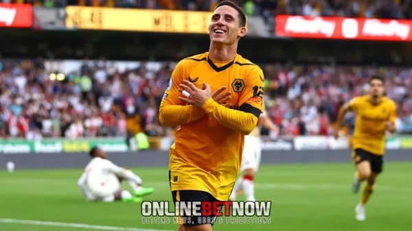 EPL Football Matches Today: Wolves beat Southampton 1-0