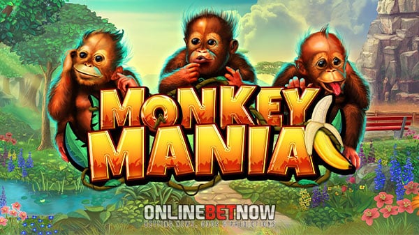 Real Money Casino: Explore the sprawling jungle by playing Monkey Mania slot