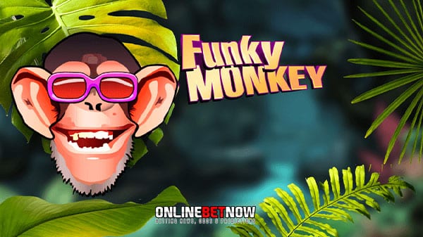 Go funky and lucky with Funky Monkey slot