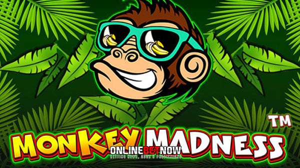 Explore the jungle and win with Monkey Madness